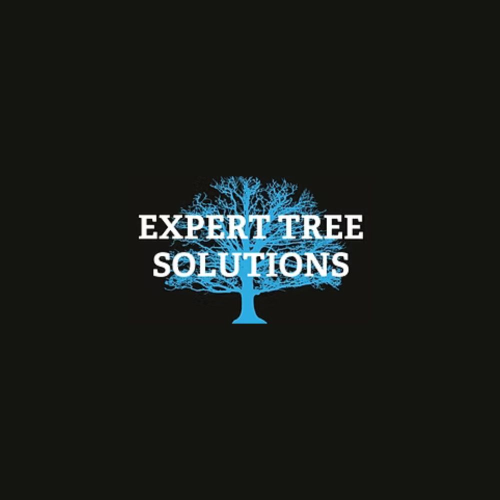 Tree Services in Hinckley - Expert Tree Solutions - GLinkco